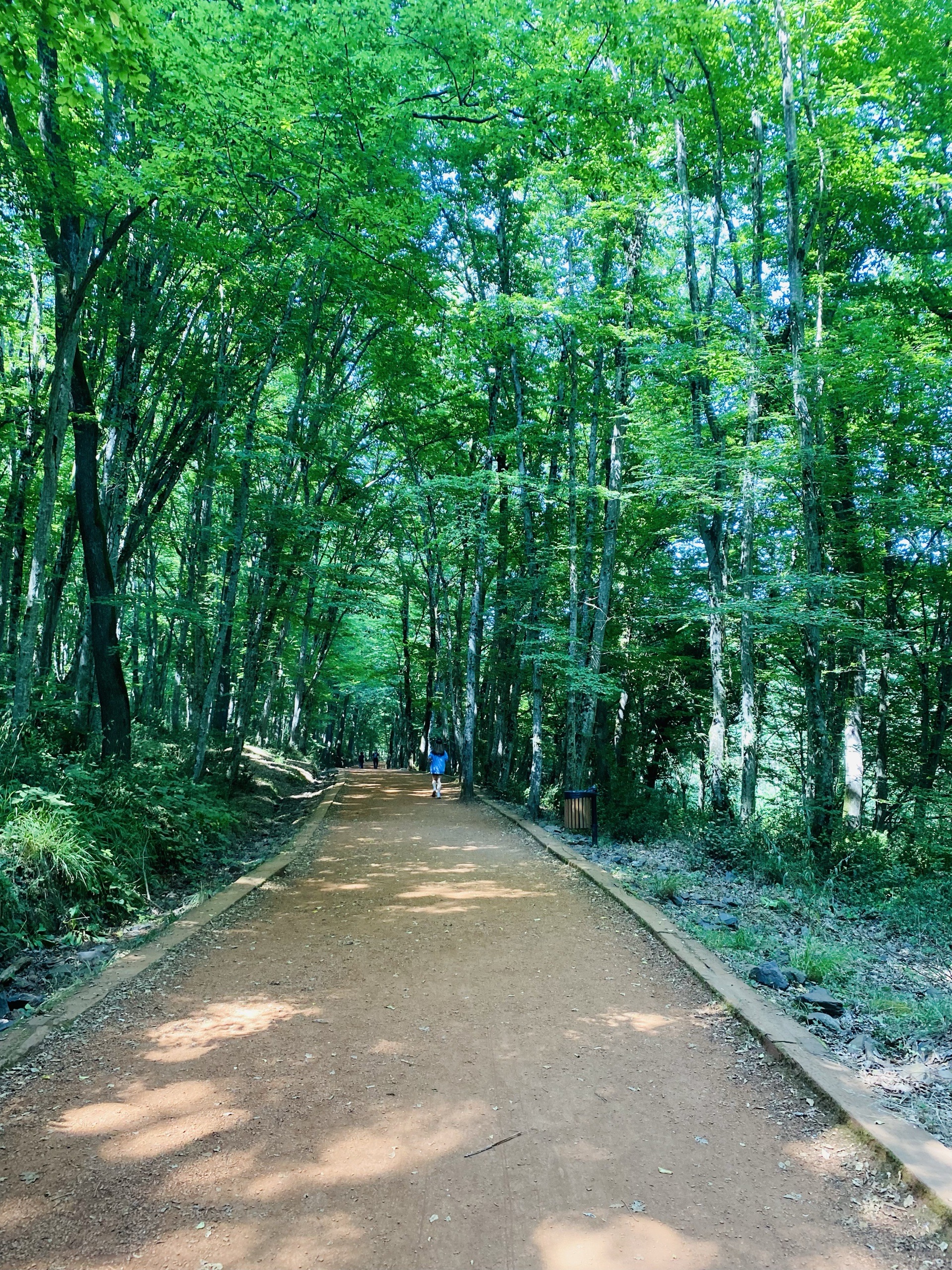 Baba-Kız Belgrad Loop