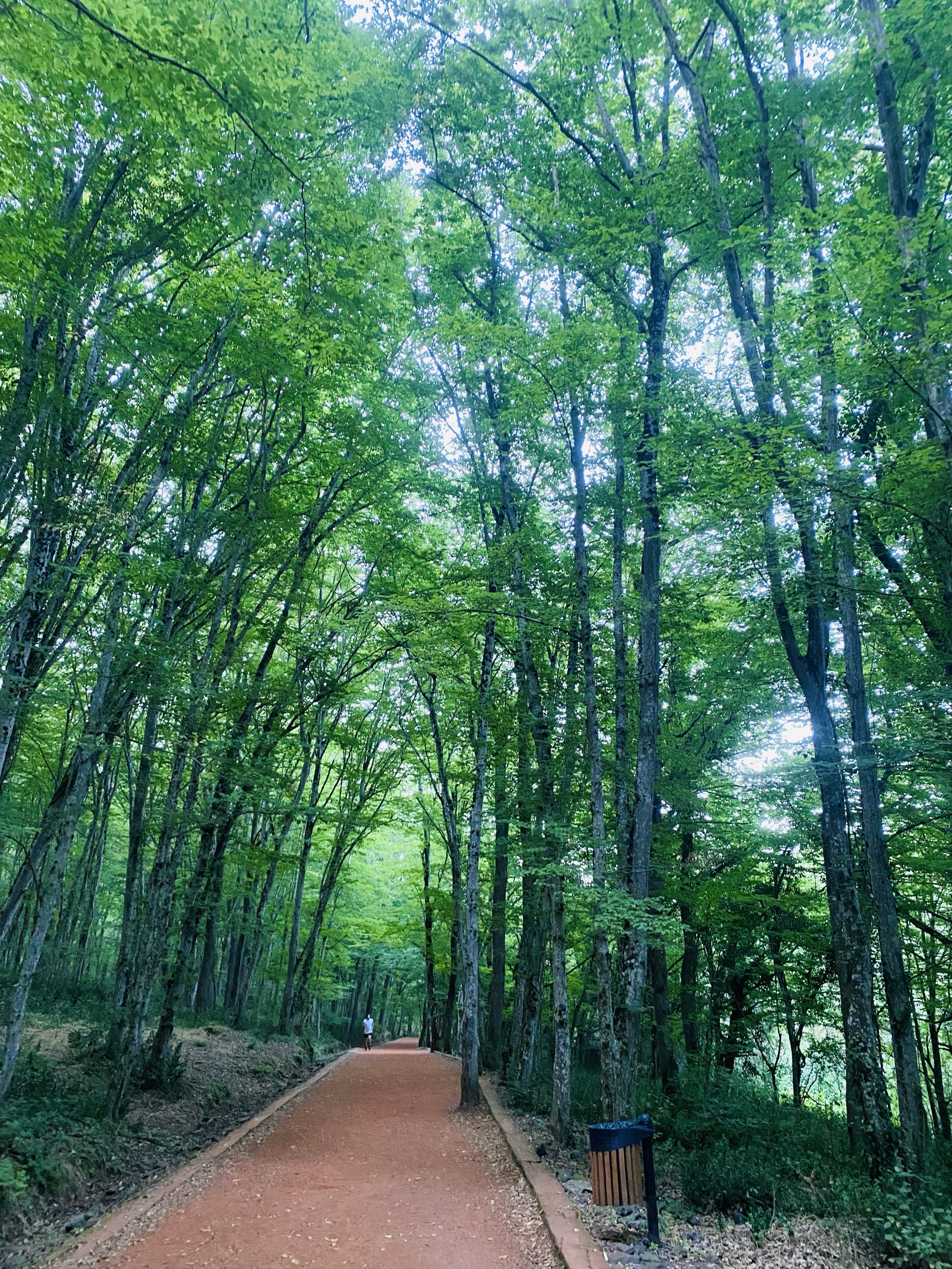 Belgrad